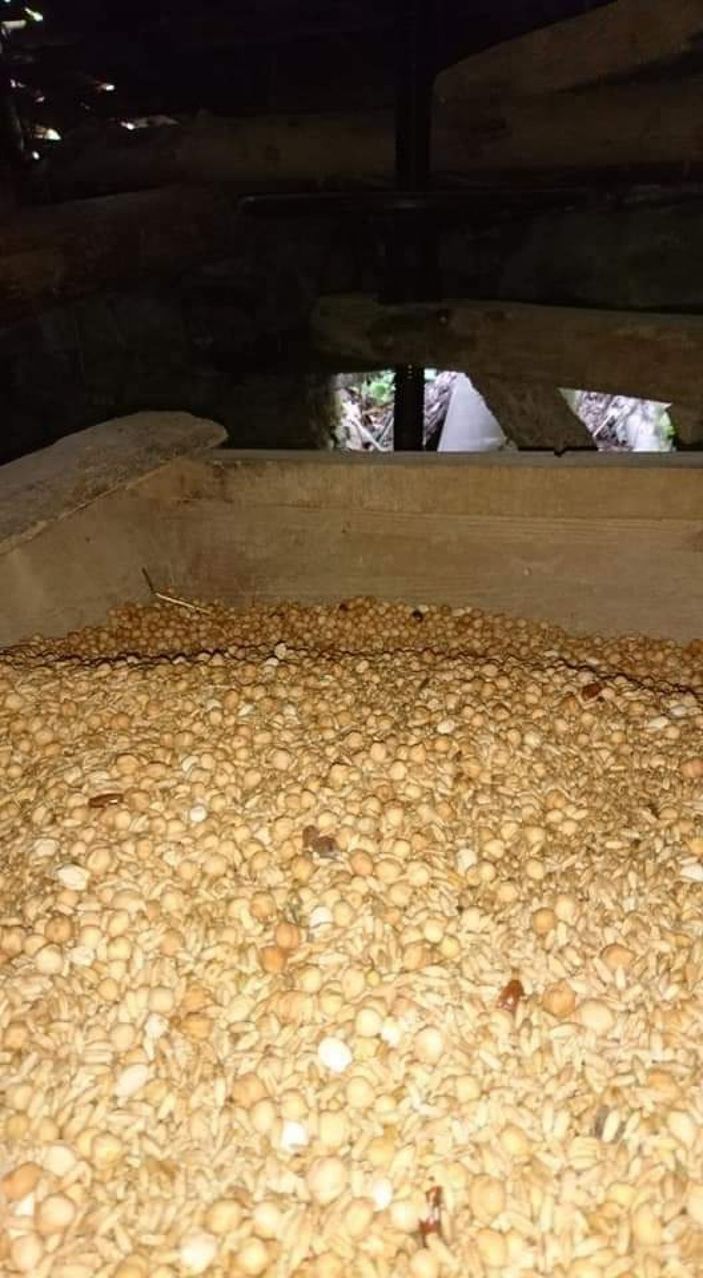 Balıkesir kuraklık değirmen