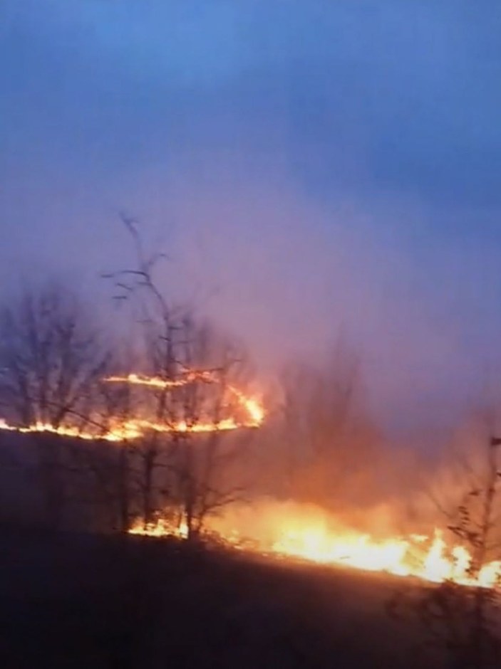 Doğu Karadeniz’de, 4 ilde, 23 noktada yangın; ekipler müdahale ediyor   -8
