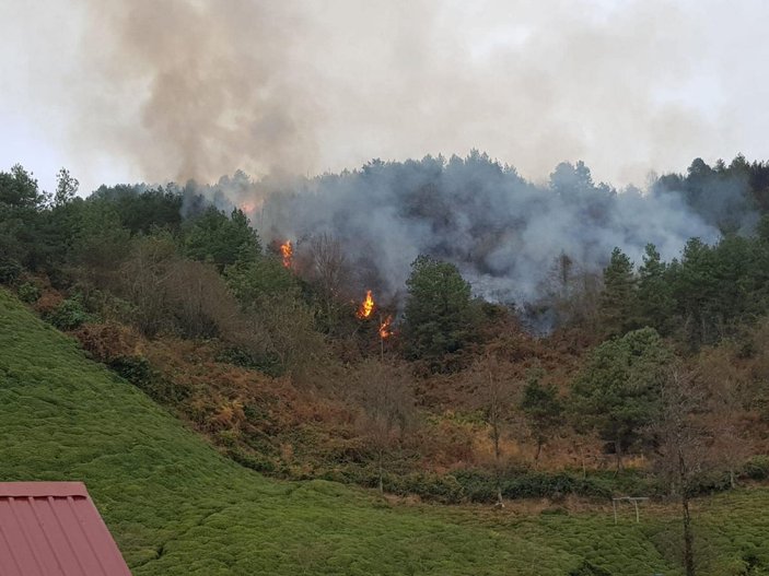 Doğu Karadeniz’de, 4 ilde, 23 noktada yangın; ekipler müdahale ediyor   -9