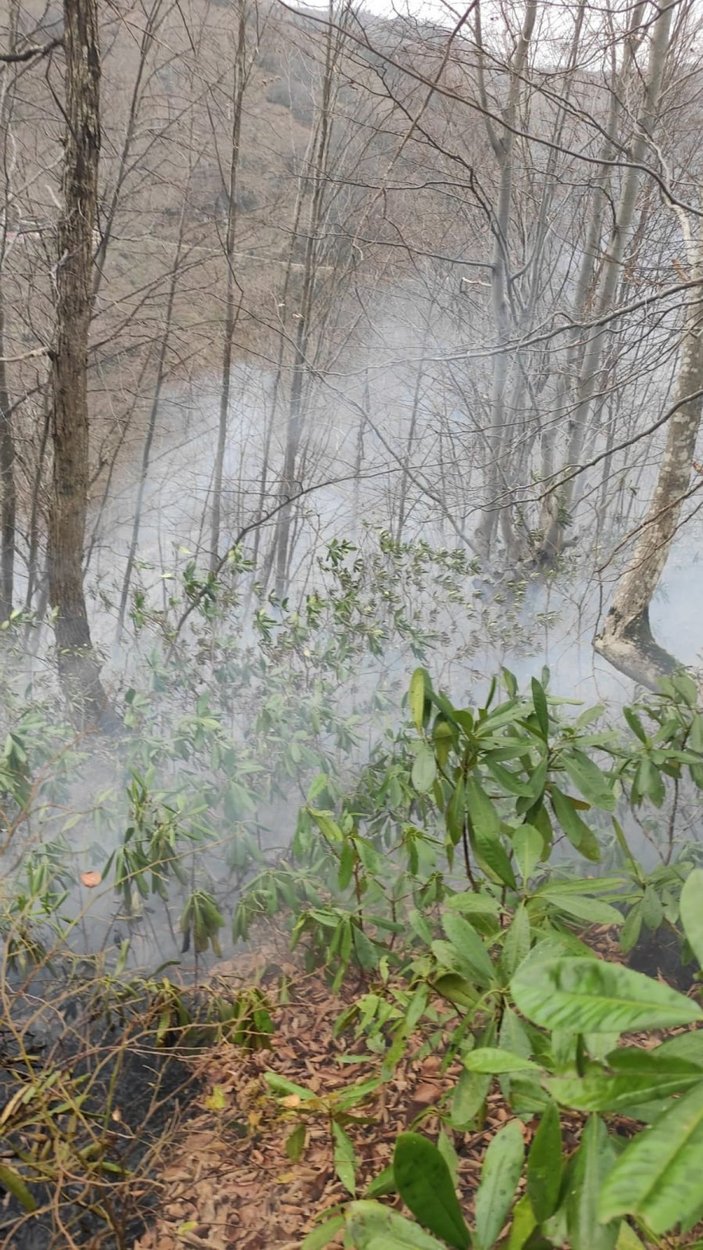 Doğu Karadeniz’de, 4 ilde, 23 noktada yangın; ekipler müdahale ediyor   -5