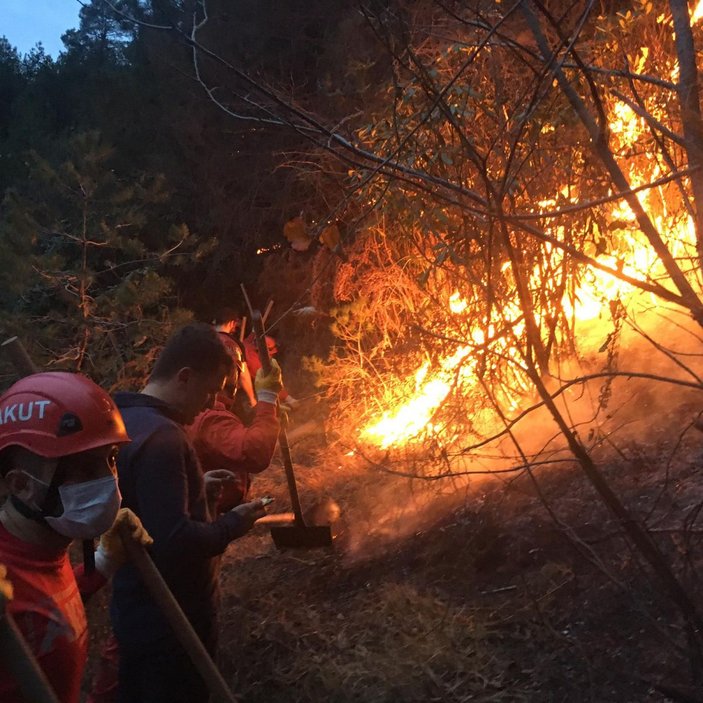 Doğu Karadeniz’de, 4 ilde çıkan orman yangınları söndürüldü -3