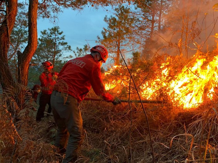 Doğu Karadeniz’de, 4 ilde çıkan orman yangınları söndürüldü -1