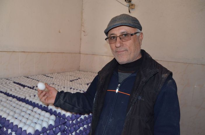 yumurta fiyatı