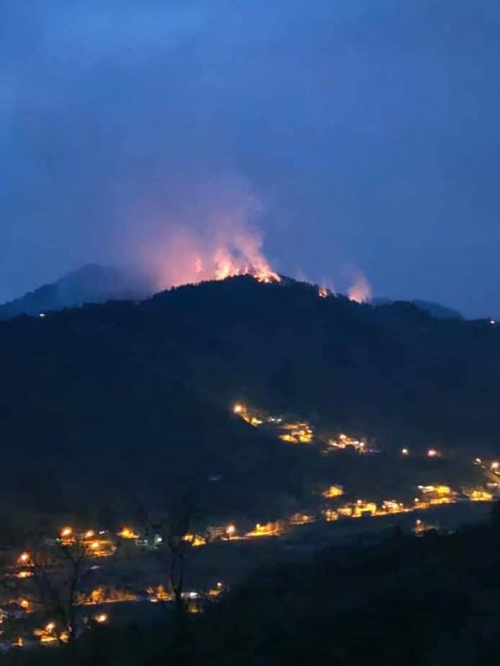 Doğu Karadeniz’de, 4 ilde çıkan orman yangınları söndürüldü -8