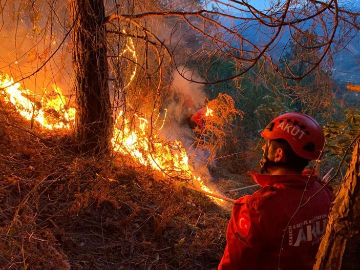 Doğu Karadeniz’de, 4 ilde çıkan orman yangınları söndürüldü -2