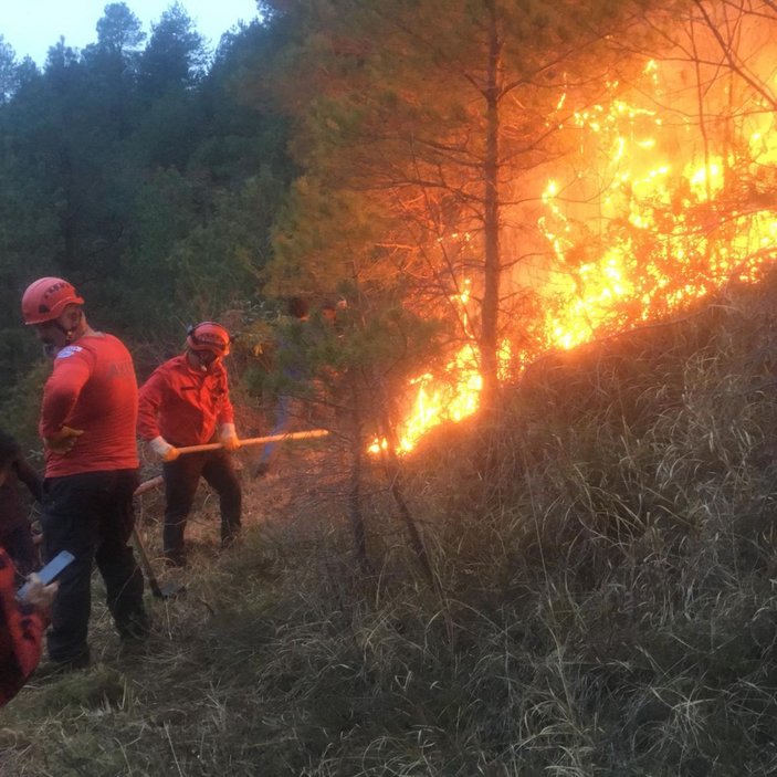 Doğu Karadeniz’de, 4 ilde çıkan orman yangınları söndürüldü -7