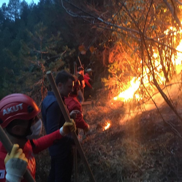Doğu Karadeniz’de, 4 ilde çıkan orman yangınları söndürüldü -4