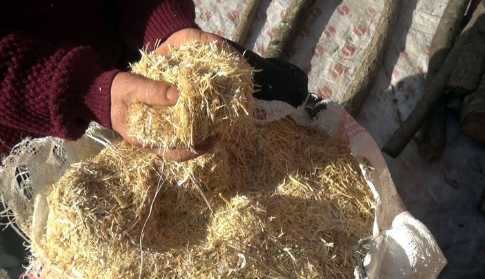 Telef olan inekleri için gözyaşı dökerken bayıldı -6