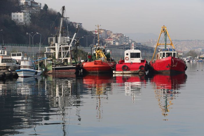 Karadeniz'de bir ilk; balıklar tersine göçe başladı -9