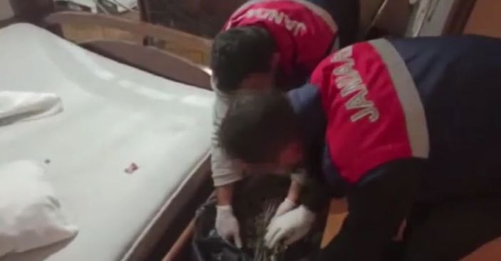 Avcılar'da uyuşturucu serasına dönüştürülen terasa baskın kamerada -3