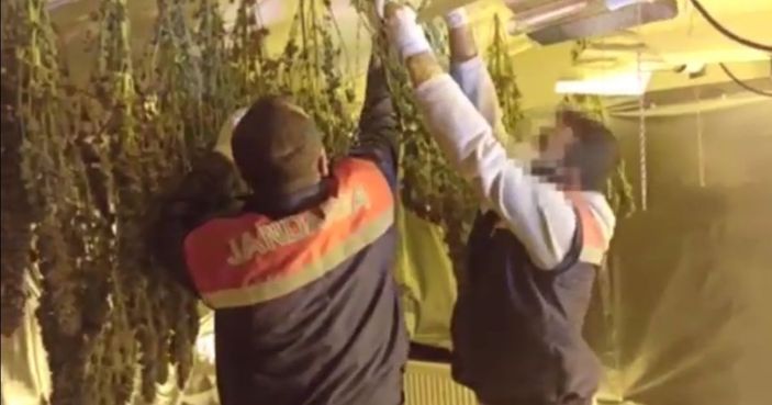 Avcılar'da uyuşturucu serasına dönüştürülen terasa baskın kamerada -7