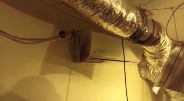 Avcılar'da uyuşturucu serasına dönüştürülen terasa baskın kamerada -4