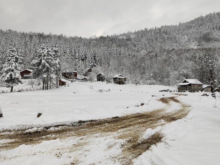 Yol kapandı; 17 kişi, kiraladıkları yayla evlerinde mahsur kaldı -1