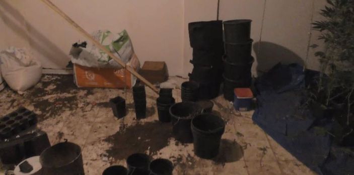 Hint keneviri yetiştirmek için kıyafet dolabına ve odalara özel düzenek kurmuşlar -9