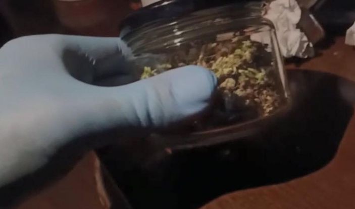 Hint keneviri yetiştirmek için kıyafet dolabına ve odalara özel düzenek kurmuşlar -4