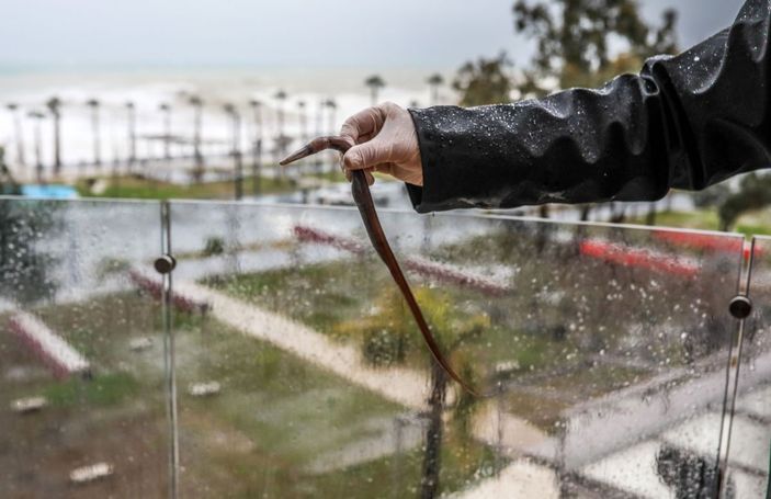 Fırtınada, sahile 60 metre uzaklıktaki dairesinin balkonunda balık buldu -2