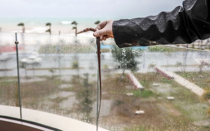 Fırtınada, sahile 60 metre uzaklıktaki dairesinin balkonunda balık buldu -3