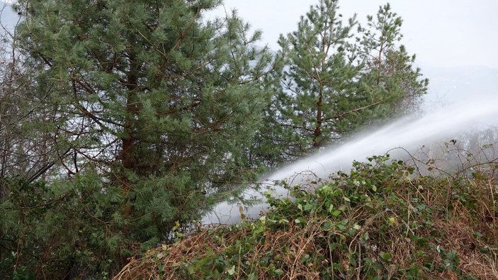 Trabzon'daki orman yangını kontrol altına alındı -6