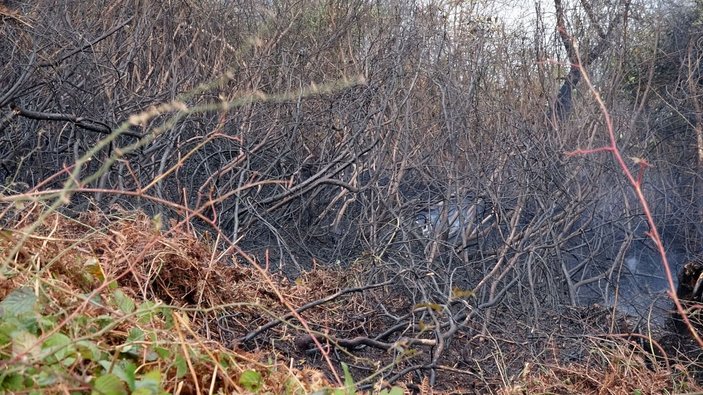 Trabzon'daki orman yangını kontrol altına alındı -7