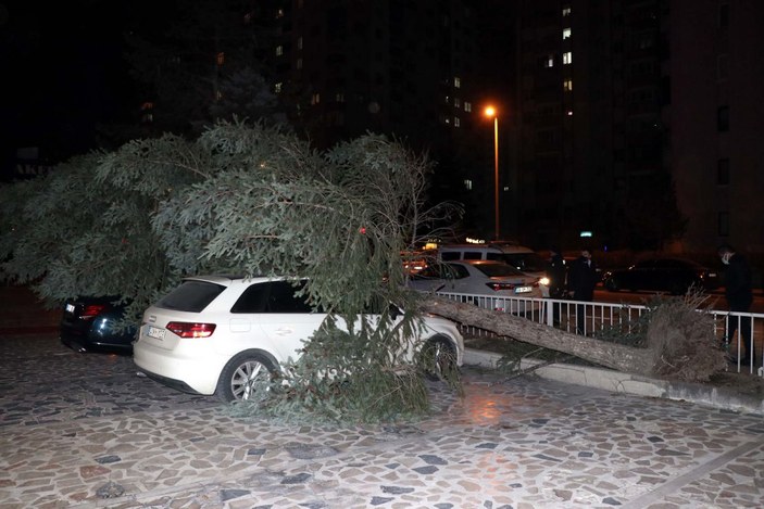 Kayseri'de şiddetli rüzgar: Ağaçlar devrildi, çatılar uçtu