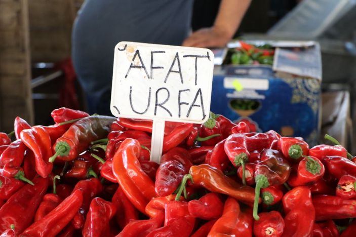 Şanlıurfa'ya 'İsot Müzesi' kurulacak -4