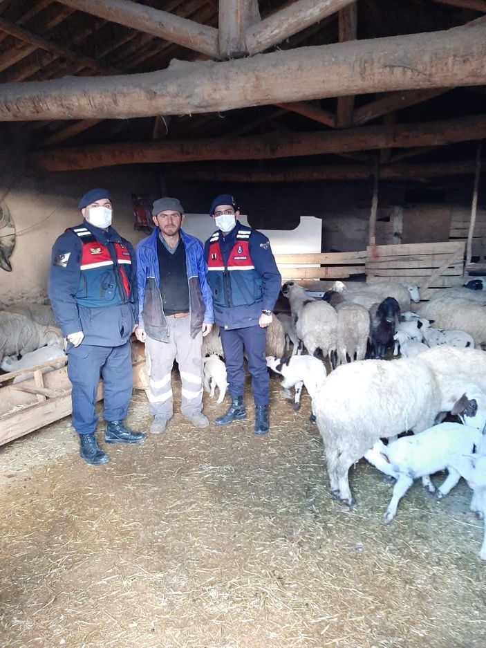 d Ağıldan 124 koyun çalan 7 kişi tutuklandı -3