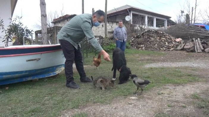 Otomobille gezen karga görenleri şaşırtıyor -2