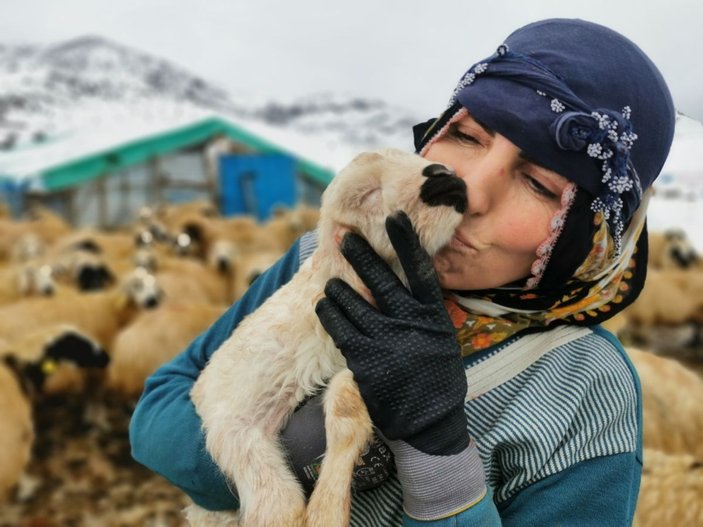 Tunceli'de kışı zor şartlarda geçiren besicilerin kuzu sevinci -8