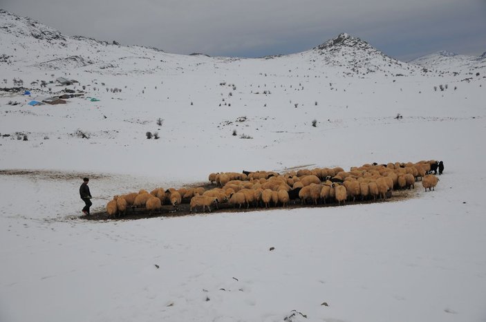 Tunceli'de kışı zor şartlarda geçiren besicilerin kuzu sevinci -5