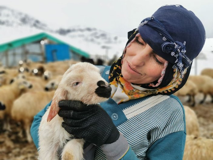 Tunceli'de kışı zor şartlarda geçiren besicilerin kuzu sevinci -9