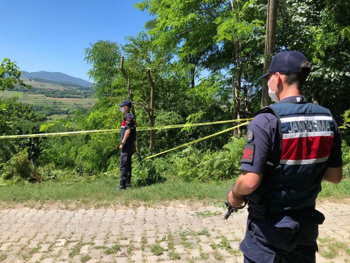 Budanan ağaç için kardeşi ve yeğenini öldürdü, müebbet ve 25 yıl hapse çarptırıldı -1