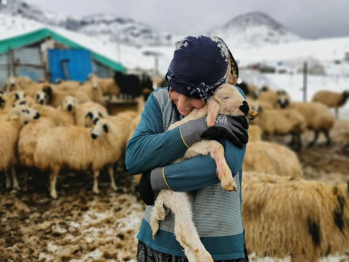 Tunceli'de kışı zor şartlarda geçiren besicilerin kuzu sevinci -1