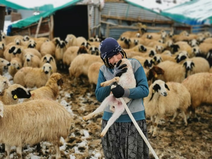 Tunceli'de kışı zor şartlarda geçiren besicilerin kuzu sevinci -7