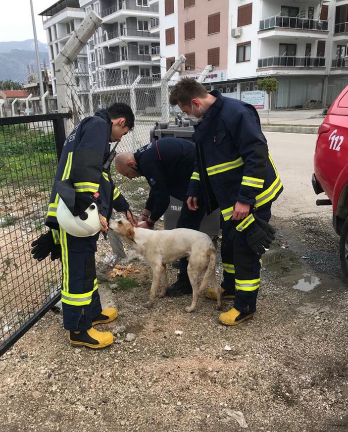 4 metrelik su kuyusuna düşen köpeği itfaiye kurtardı -4