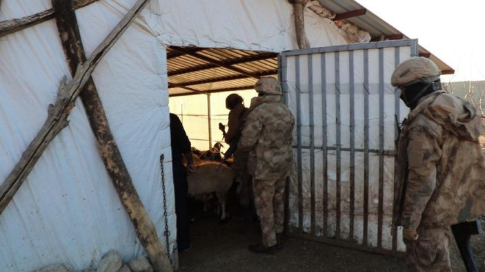 Diyarbakır'da 'Narko-Terör Tırpan-2' operasyonu: 16 gözaltı -3