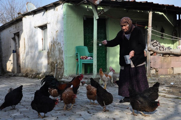 99 yaşındaki Özo Nine, sağlığını organik beslenmeye borçlu -8