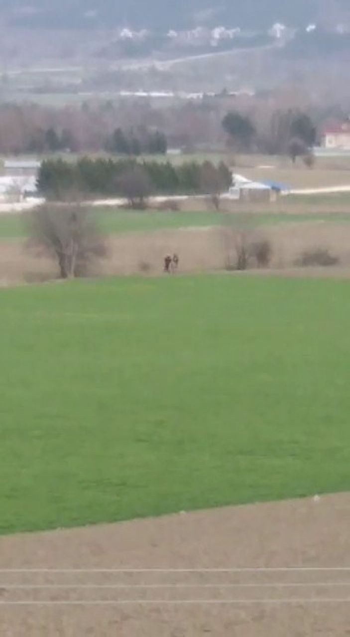 Bolu köpeğe tecavüz