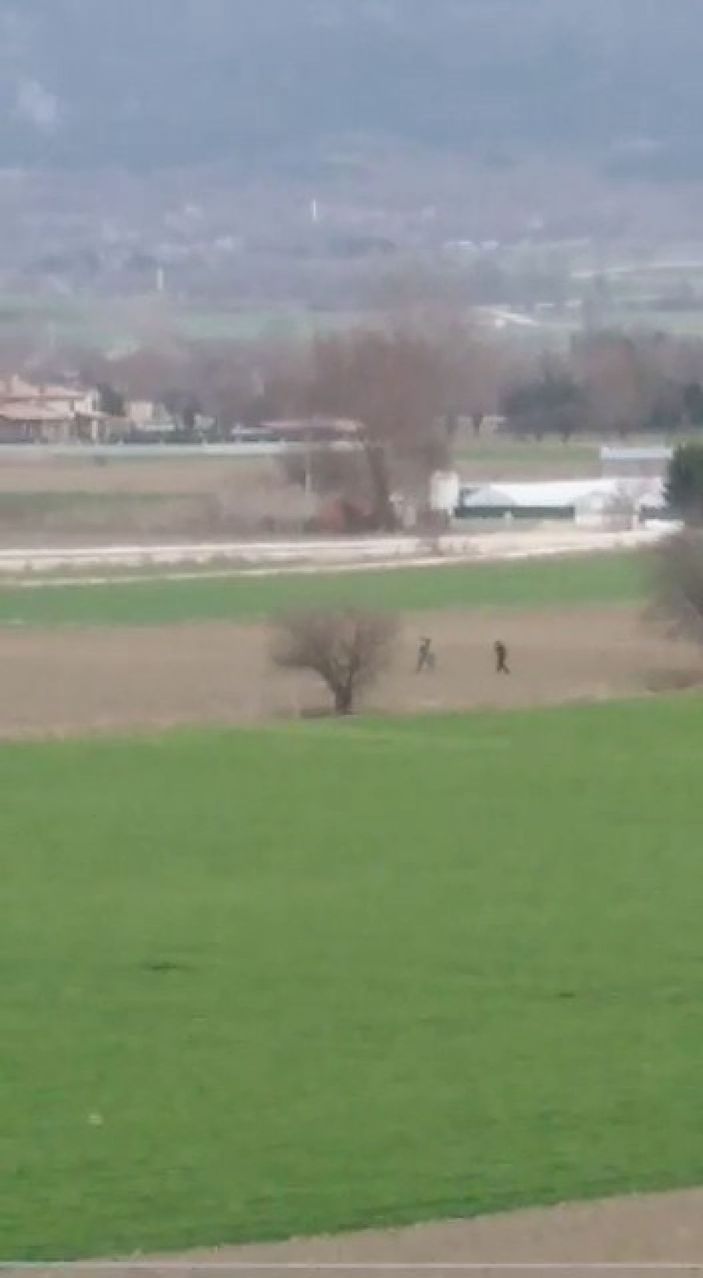 Bolu köpeğe tecavüz