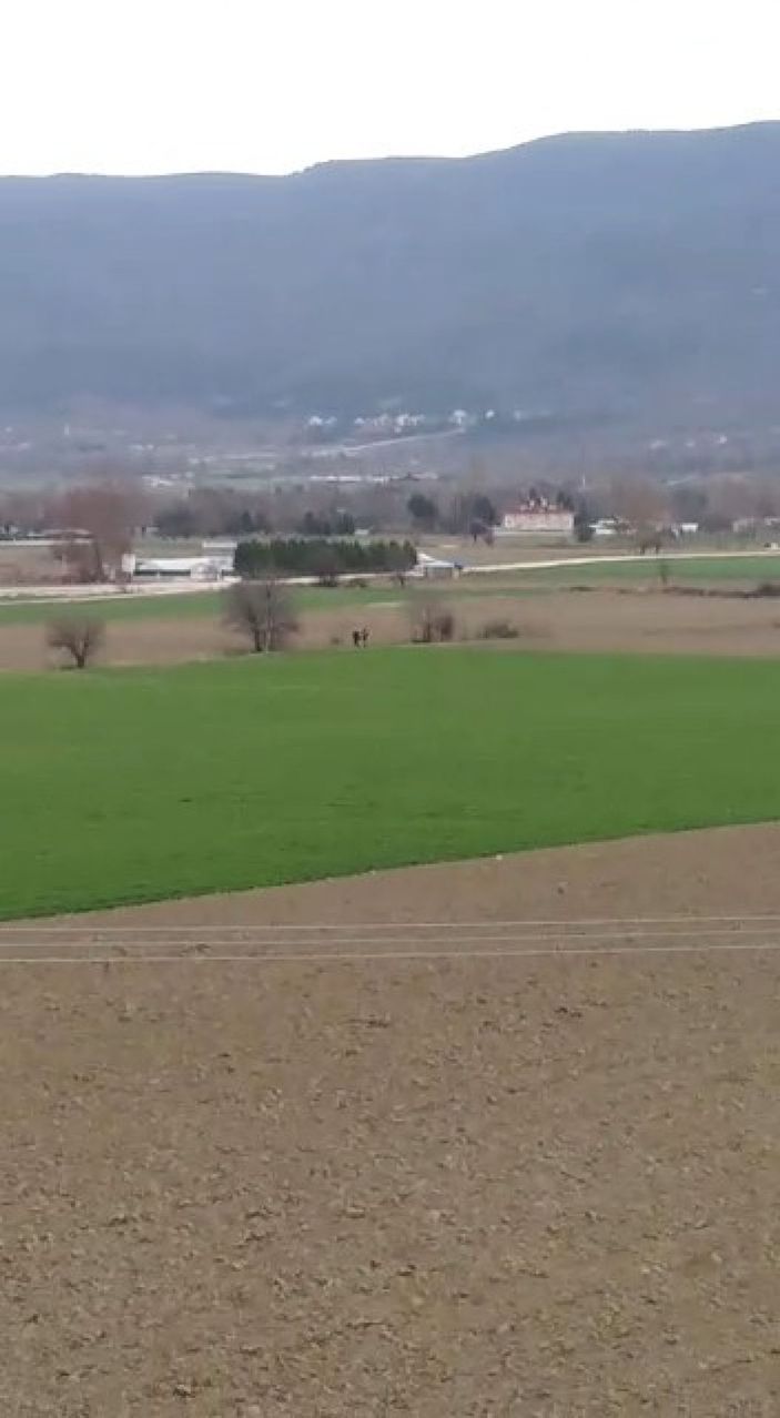 i Bolu köpeğe tecavüz