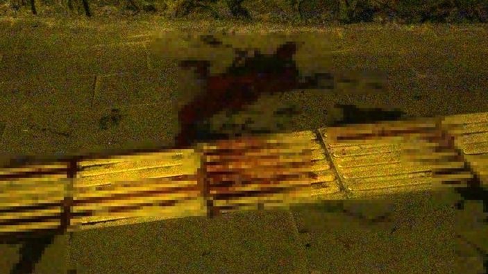 i Diyarbakır’da genç kadın sokak ortasında sırtından vuruldu