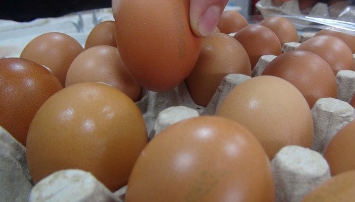 Yumurta üreticisinde ‘gezen tavuk yumurtası’ uyarısı: Bugün ülkemizde üretimi mümkün değil -8