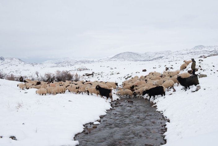 Tunceli'de, çobanların karda zorlu mesaisi -7