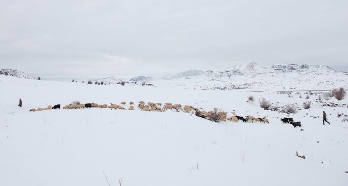 Tunceli'de, çobanların karda zorlu mesaisi -8