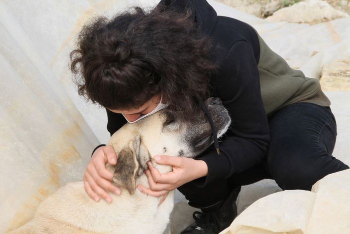 d Komşusu, üniversiteli Fatma’nın köpeğini vurdu, 'Aynısını sana da yaparım' diye tehdit etti -3