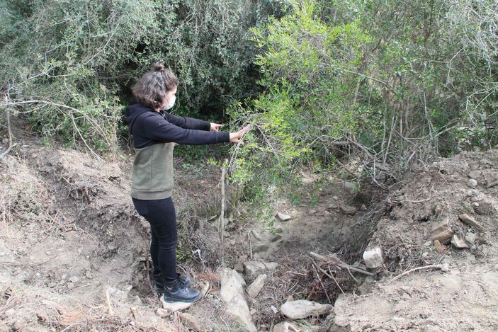 d Komşusu, üniversiteli Fatma’nın köpeğini vurdu, 'Aynısını sana da yaparım' diye tehdit etti -6