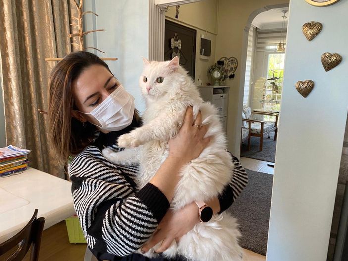 Pandemide evde kalınması kedilerin psikolojisini bozdu, antidepresan kullanımı arttı -5