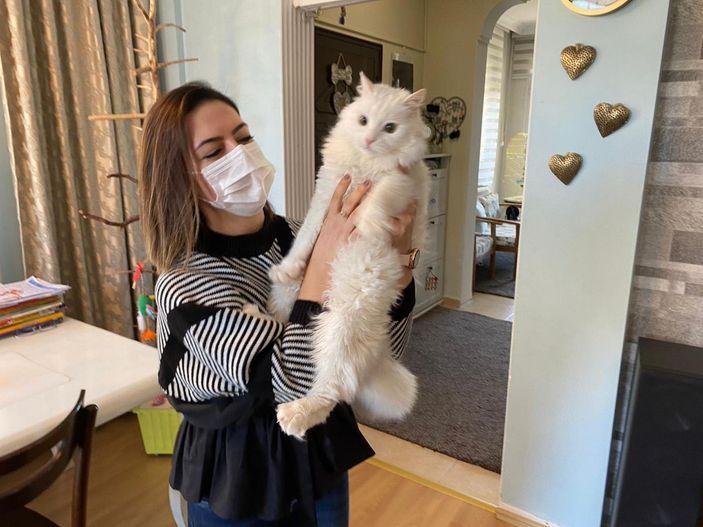 Pandemide evde kalınması kedilerin psikolojisini bozdu, antidepresan kullanımı arttı -6