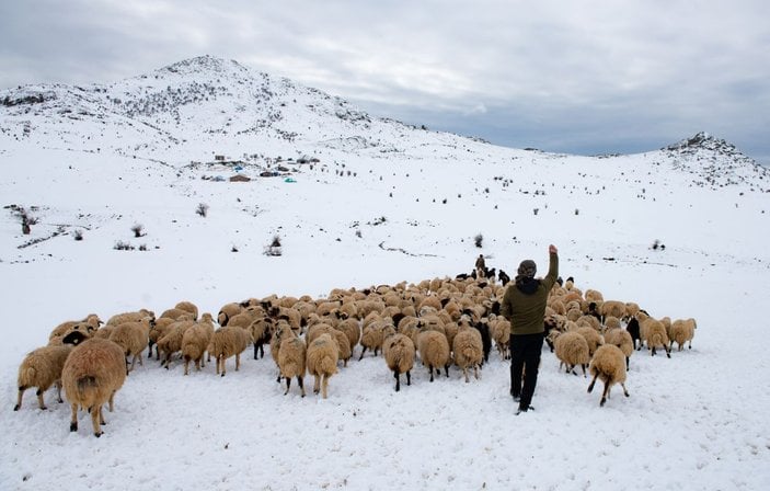 Tunceli'de, çobanların karda zorlu mesaisi -6