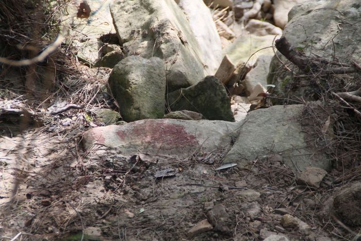 d Komşusu, üniversiteli Fatma’nın köpeğini vurdu, 'Aynısını sana da yaparım' diye tehdit etti -9