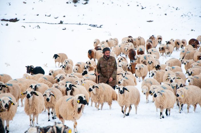 Tunceli'de, çobanların karda zorlu mesaisi -10